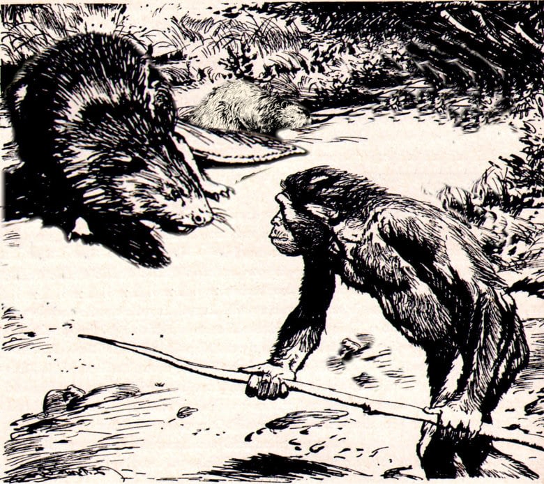 weesakayjak_hunt
