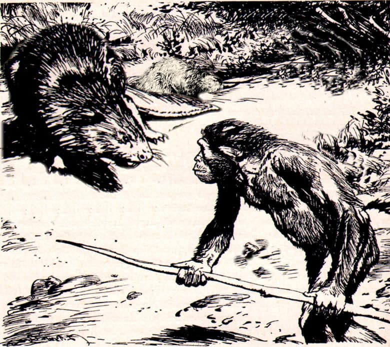 weesakayjak_hunt